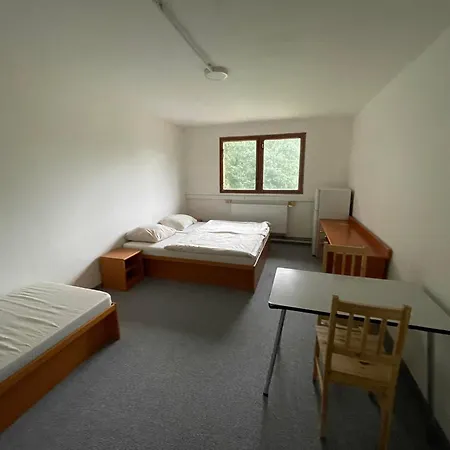 Stary Mlyn Otel